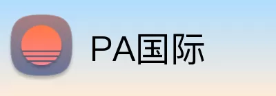 PA国际 Logo